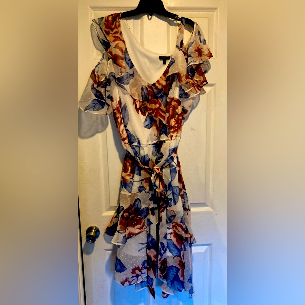 Lane Bryant dress